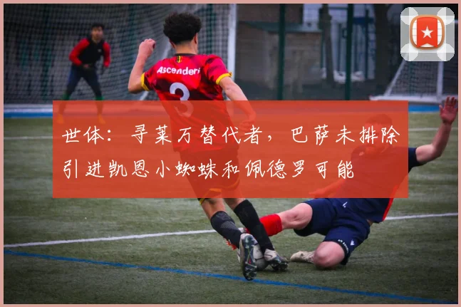 世体：寻莱万替代者，巴萨未排除引进凯恩小蜘蛛和佩德罗可能